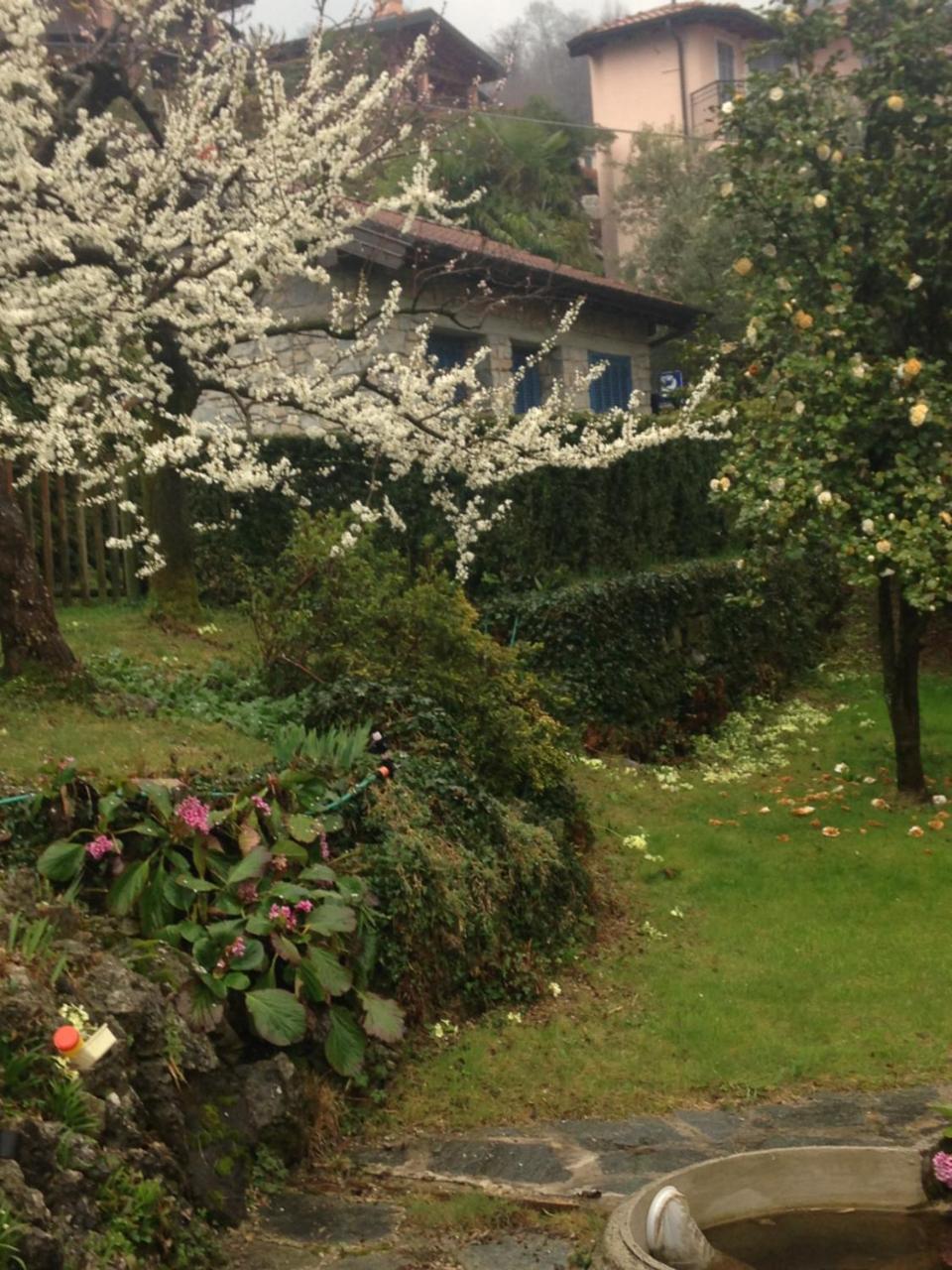 Villa Maria Lago Maggiore Reno Di Leggiuno Eksteriør billede
